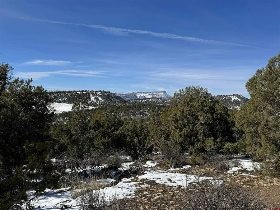 TBD Road 41.4, Mancos, CO 81328 - #3