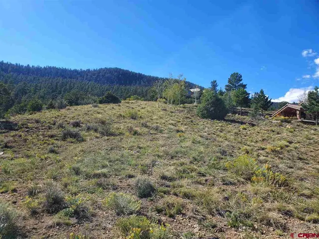 120 Fairway Ridge Lane, South Fork, CO 81154 - #1