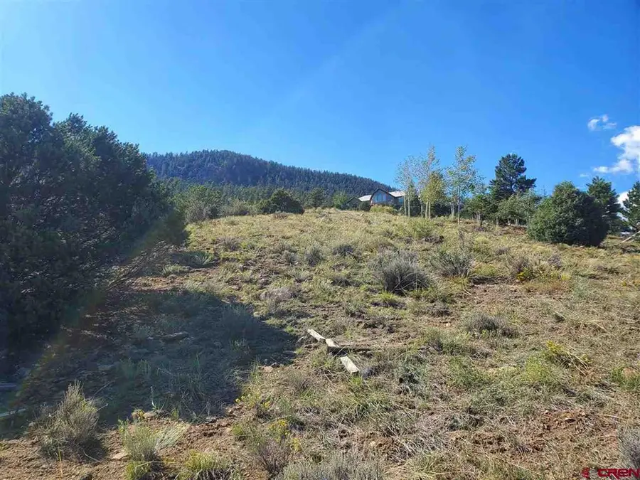 120 Fairway Ridge Lane, South Fork, CO 81154 - #2