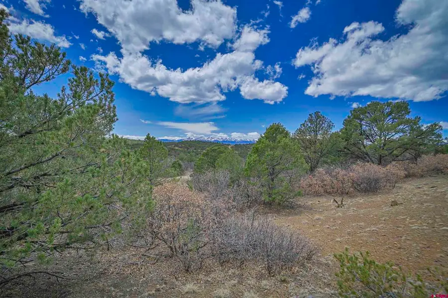 TBD Primero Ranch Lot 45, Weston, CO 81020 - #3