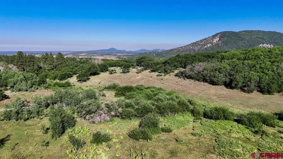TBD Road N, Rico, CO 81332 - #3