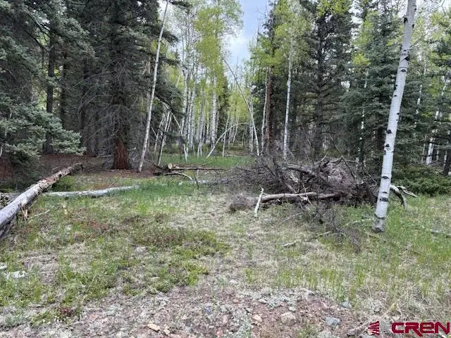 tbd Adams, Jasper, CO 81144 - #2