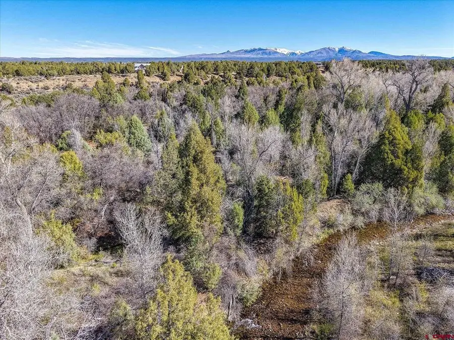 1987 County Road 122, Hesperus, CO 81326 - #2