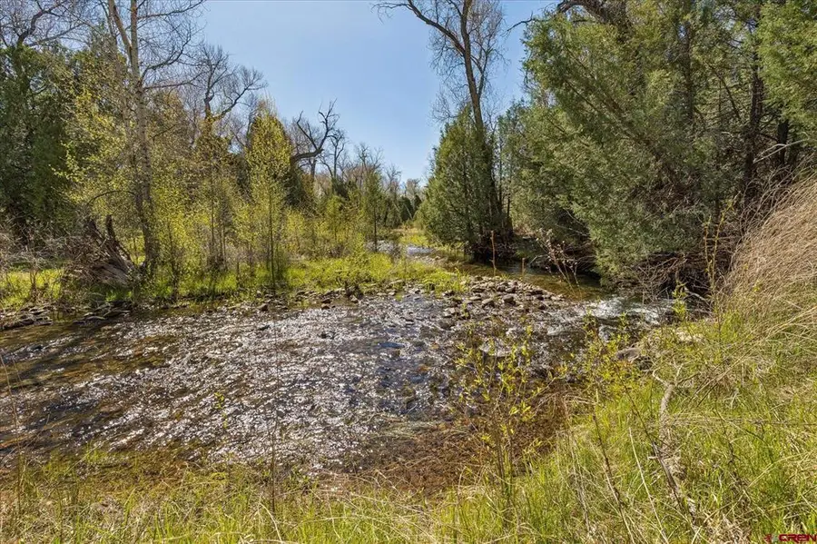 1987 County Road 122, Hesperus, CO 81326 - #3