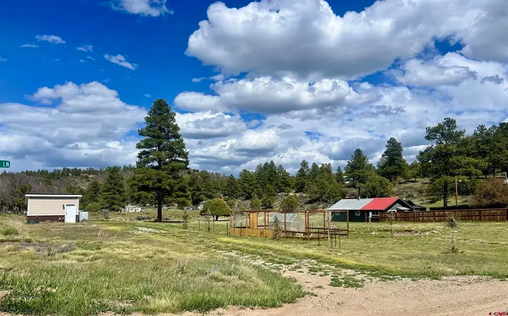 828 Beucler Lane, Pagosa Springs, CO 81147 - #1