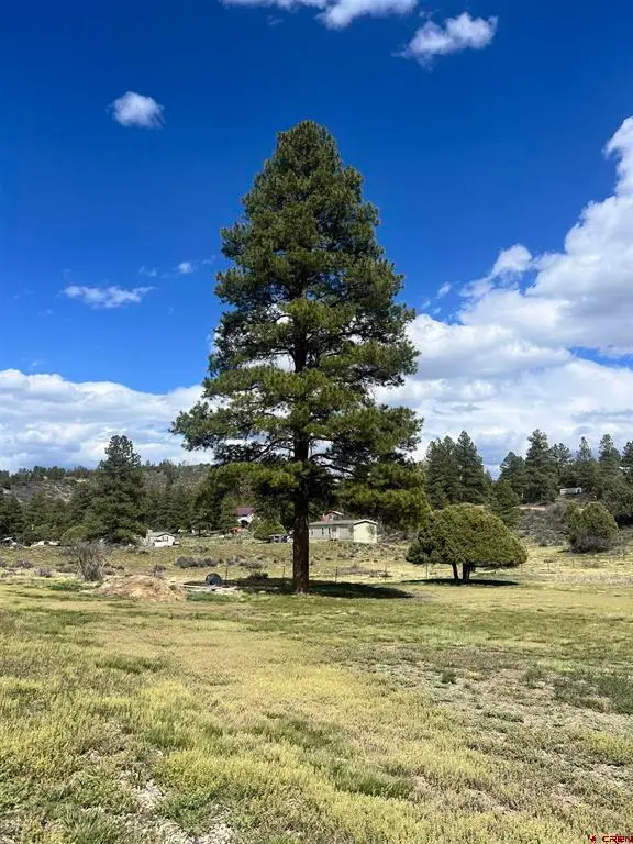 828 Beucler Lane, Pagosa Springs, CO 81147 - #3