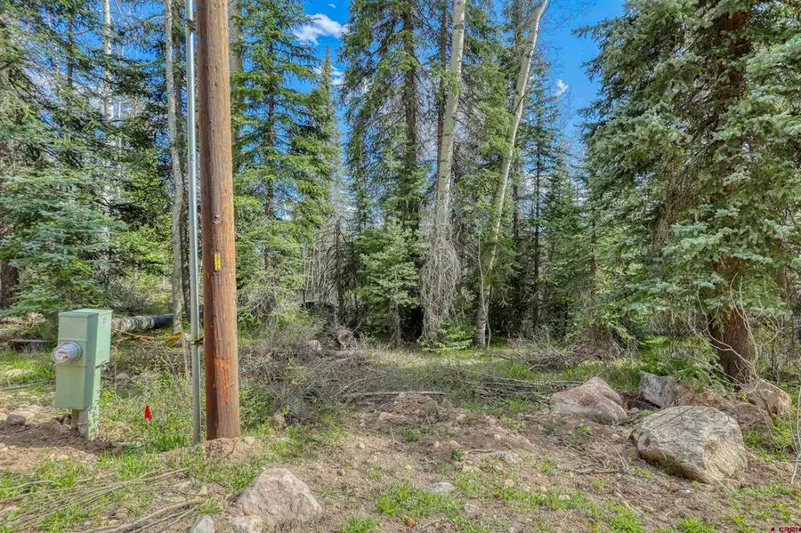 122 Meadowbrook Place, Pagosa Springs, CO 81147 - #3
