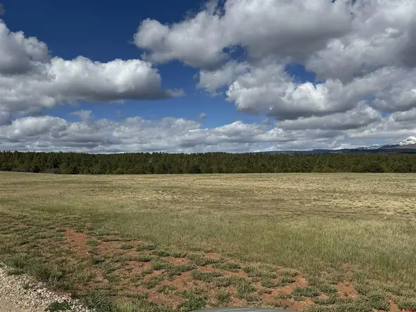 TBD Road 39.2, Mancos, CO 81328