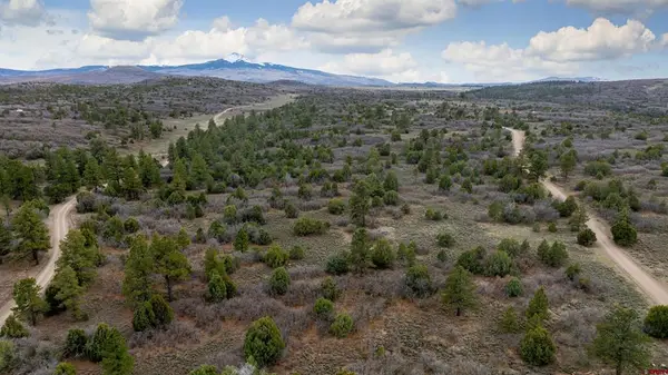 458 E Beaver Pines Loop, Norwood, CO 81423