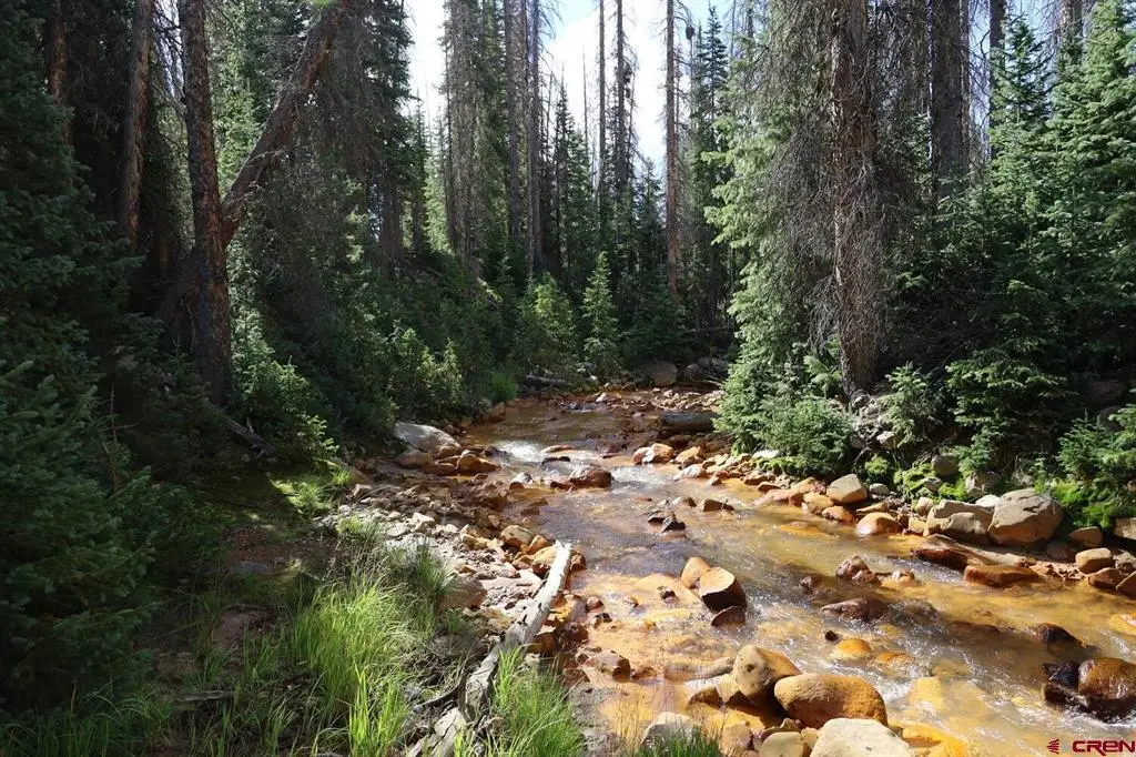 X1&2 Forest Service Road 380, Platoro, CO 81120 - #1