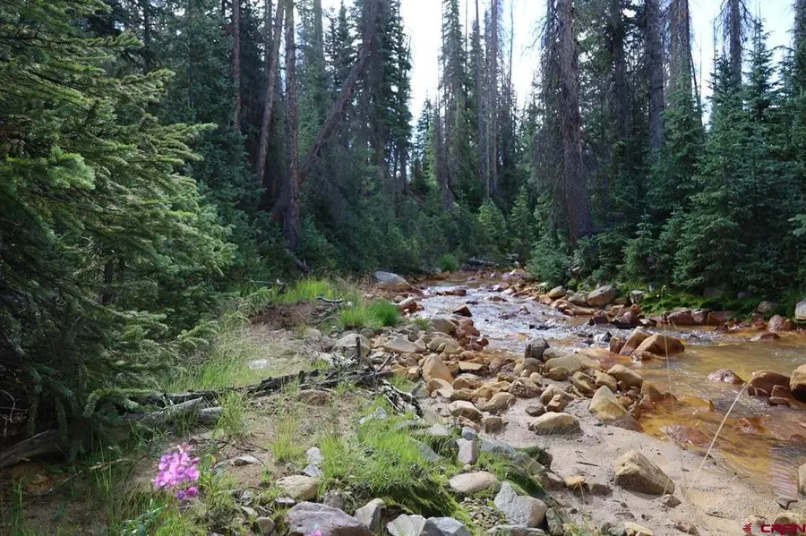X1&2 Forest Service Road 380, Platoro, CO 81120 - #2