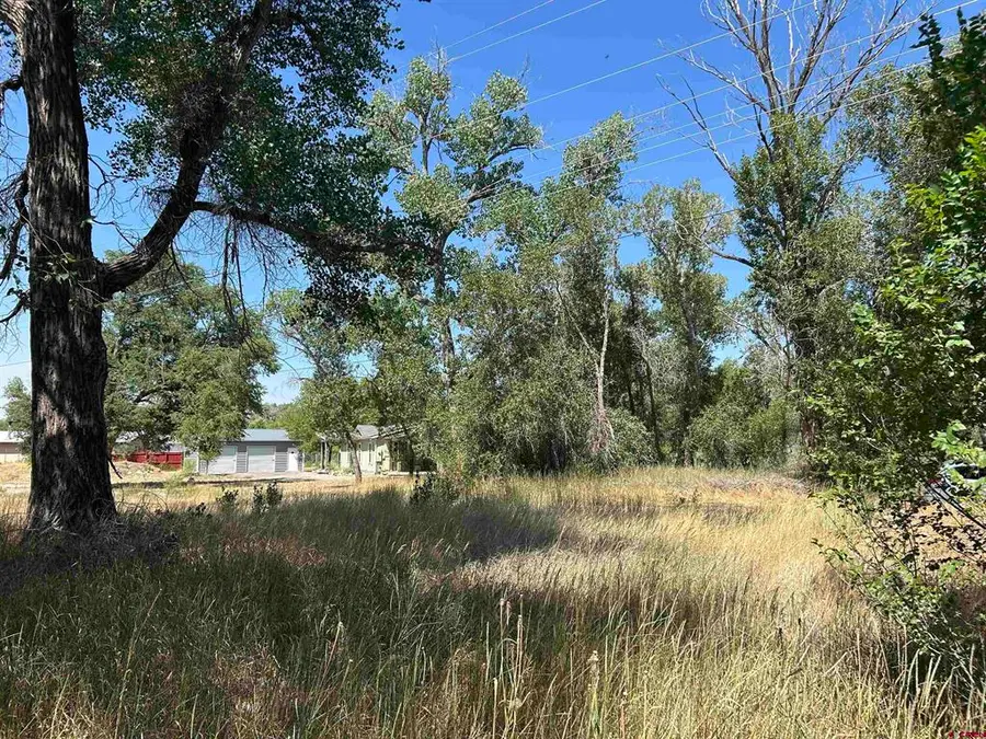 498 Niagara Avenue, Paonia, CO 81428 - #2