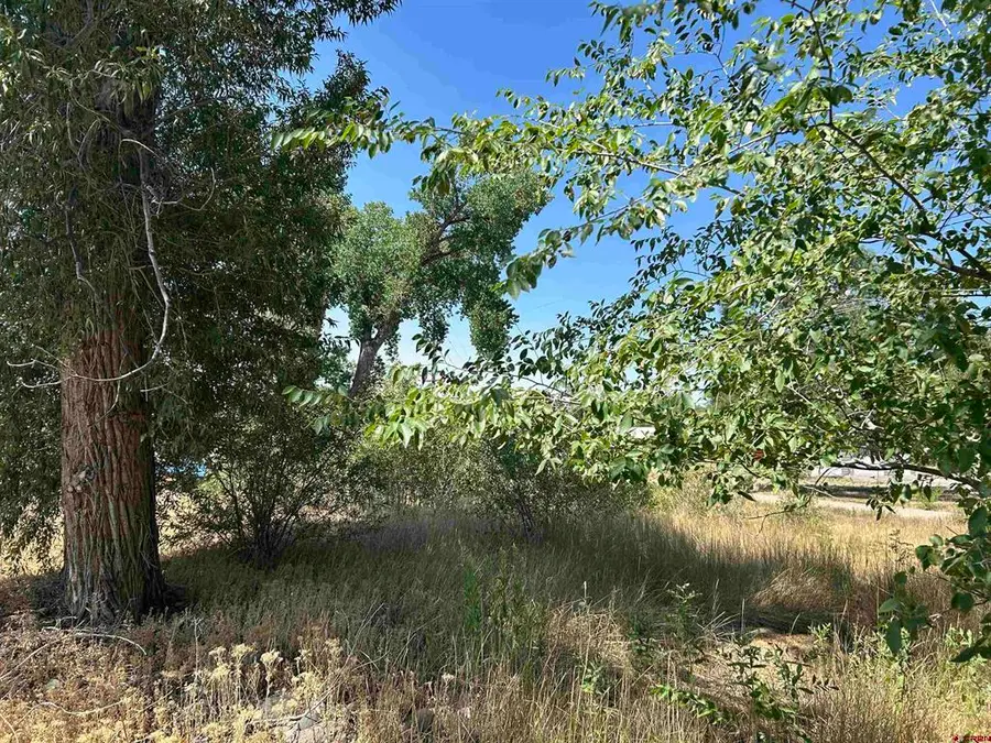 498 Niagara Avenue, Paonia, CO 81428 - #3