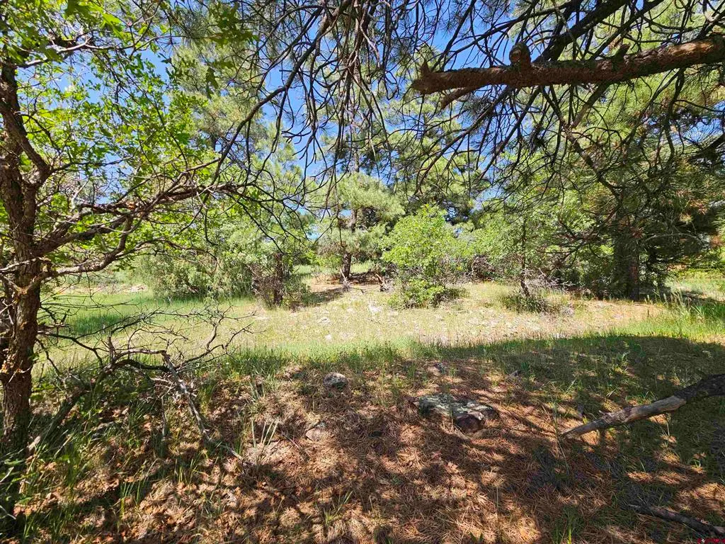 344 & 360 Caddy Circle, Pagosa Springs, CO 81147 - #1