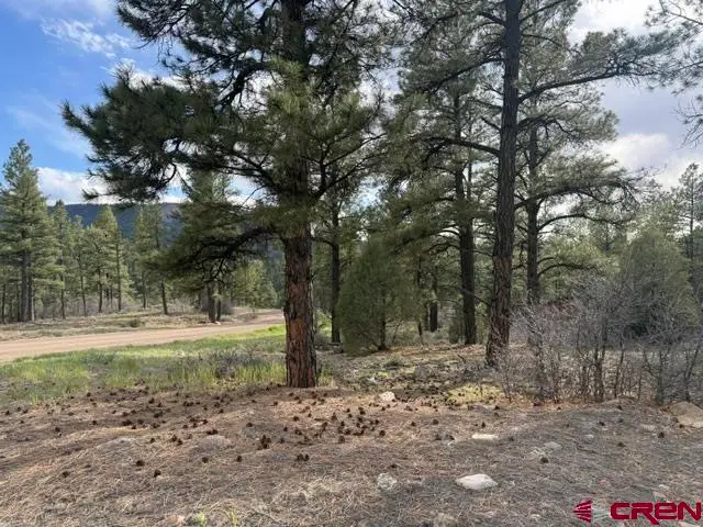 596 Ginger Circle, Pagosa Springs, CO 81147 - #1