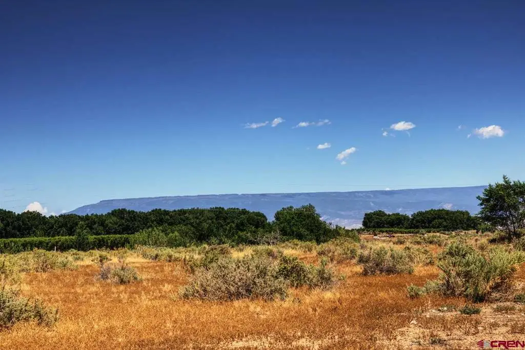 Lot:3 Idaho Road, Montrose, CO 81403 - #1