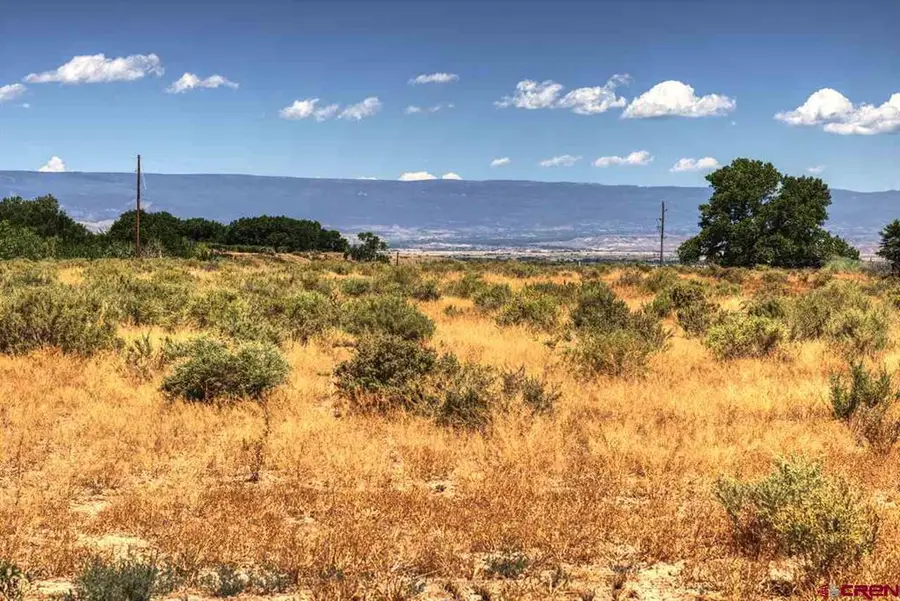 Lot:3 Idaho Road, Montrose, CO 81403 - #3