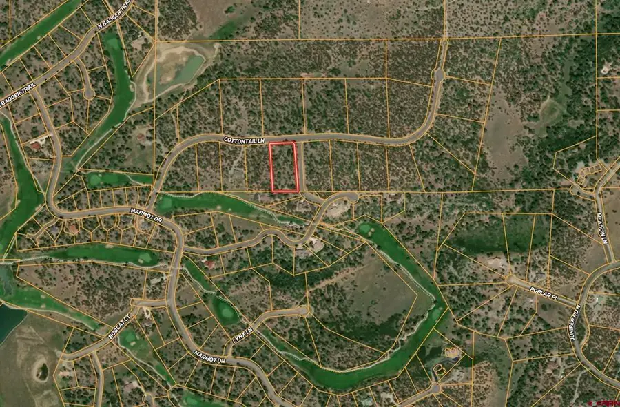 Lot 5 Cottontail Lane, Ridgway, CO 81432 - #2
