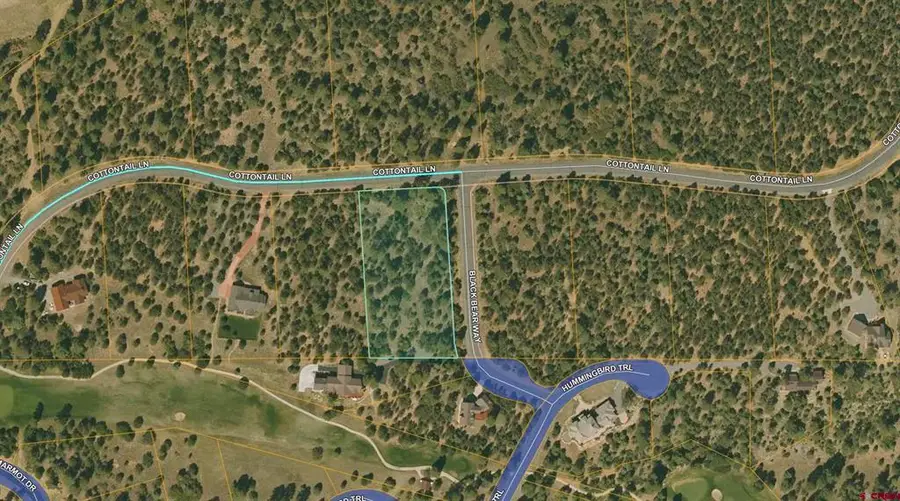 Lot 5 Cottontail Lane, Ridgway, CO 81432 - #3