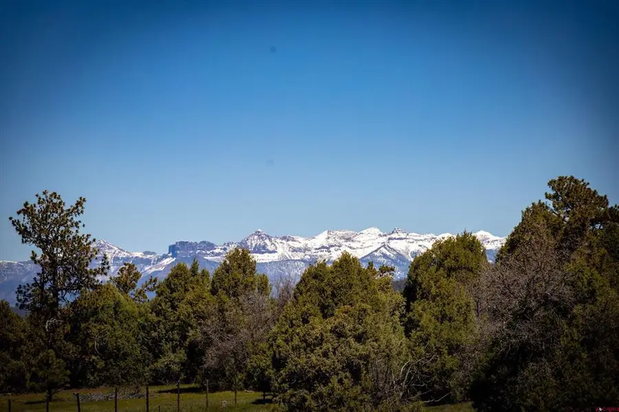 455 Heath Dr, Pagosa Springs, CO 81147 - #2