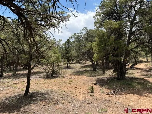 Lot 4 Pine Drive, Ridgway, CO 81432 - #1