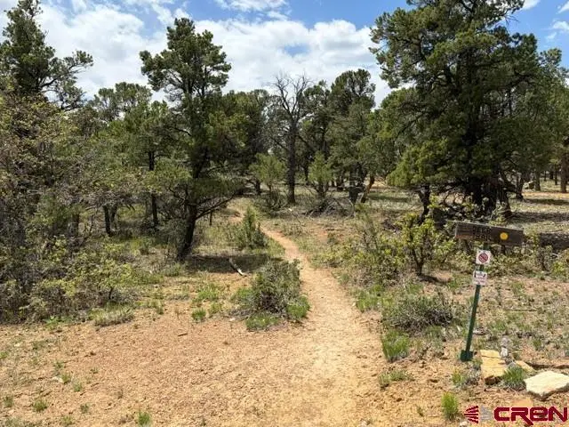 Lot 4 Pine Drive, Ridgway, CO 81432 - #2