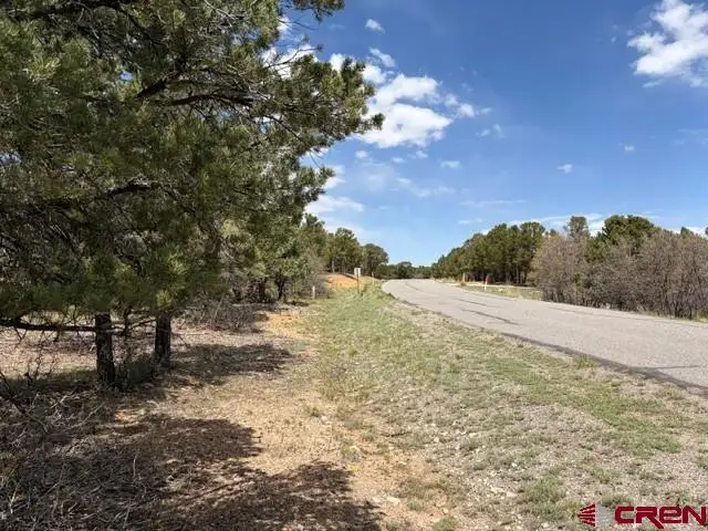 Lot 4 Pine Drive, Ridgway, CO 81432 - #3