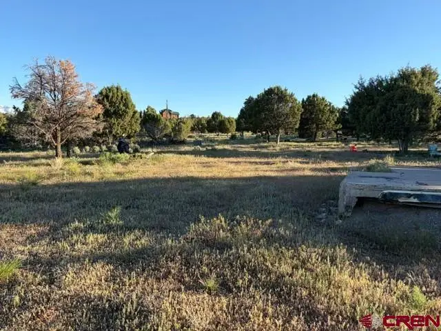 215 County Road 22a, Montrose, CO 81403 - #1