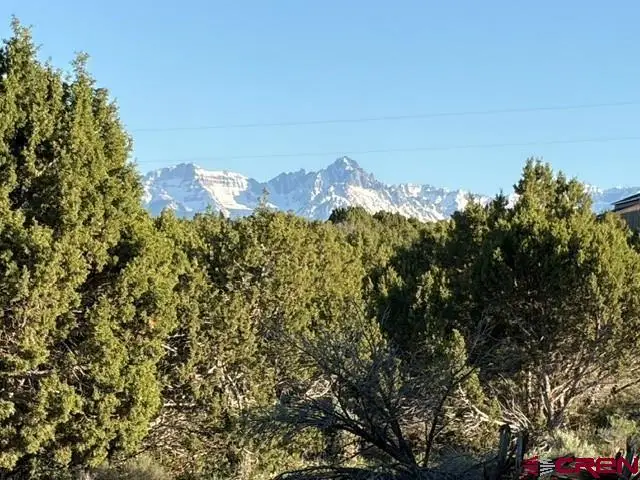 215 County Road 22a, Montrose, CO 81403 - #2