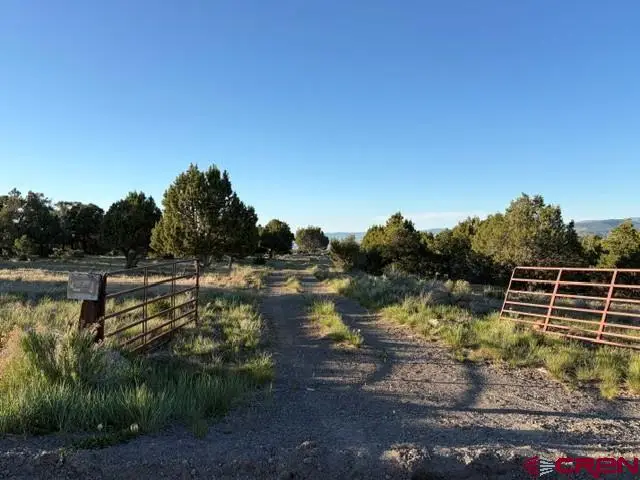 215 County Road 22a, Montrose, CO 81403 - #3