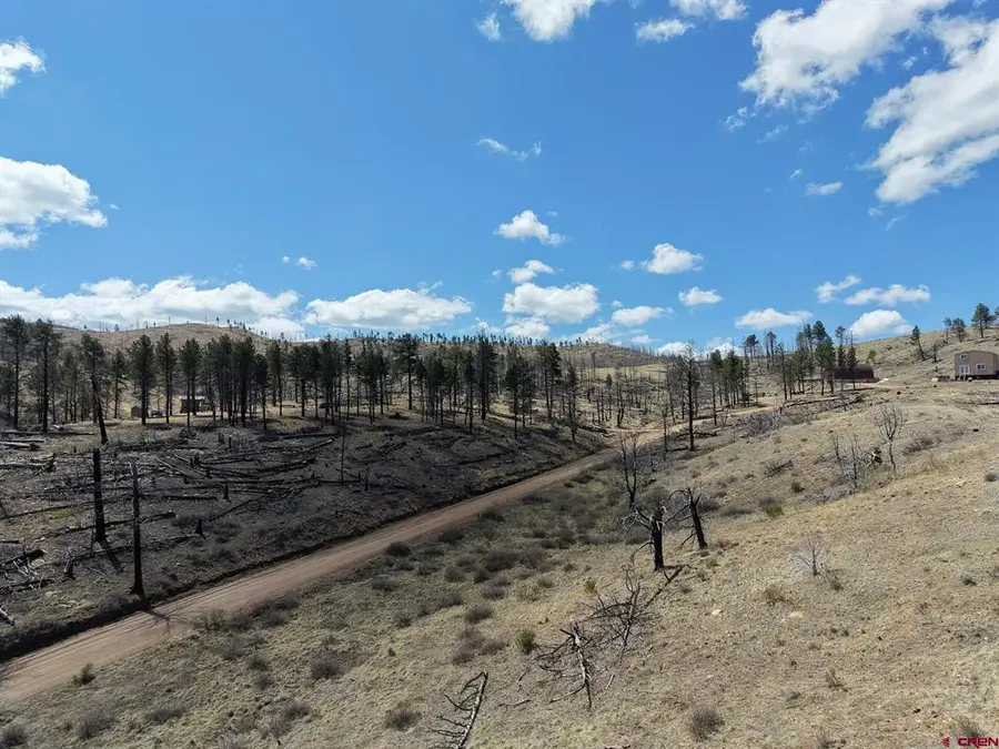 7631 Lewis Smith Rd, Fort Garland, CO 81133 - #3