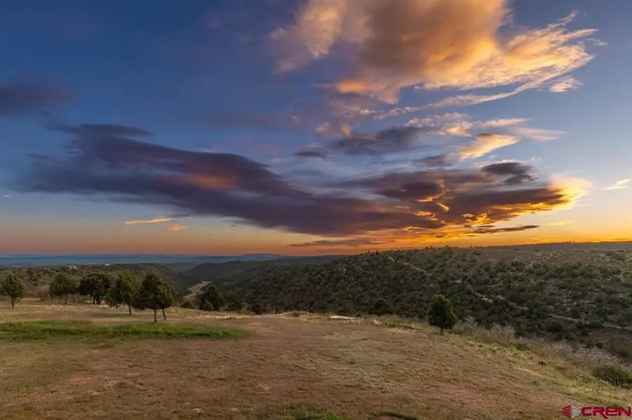 1737 Roberts Ridge Drive, Hesperus, CO 81326 - #2