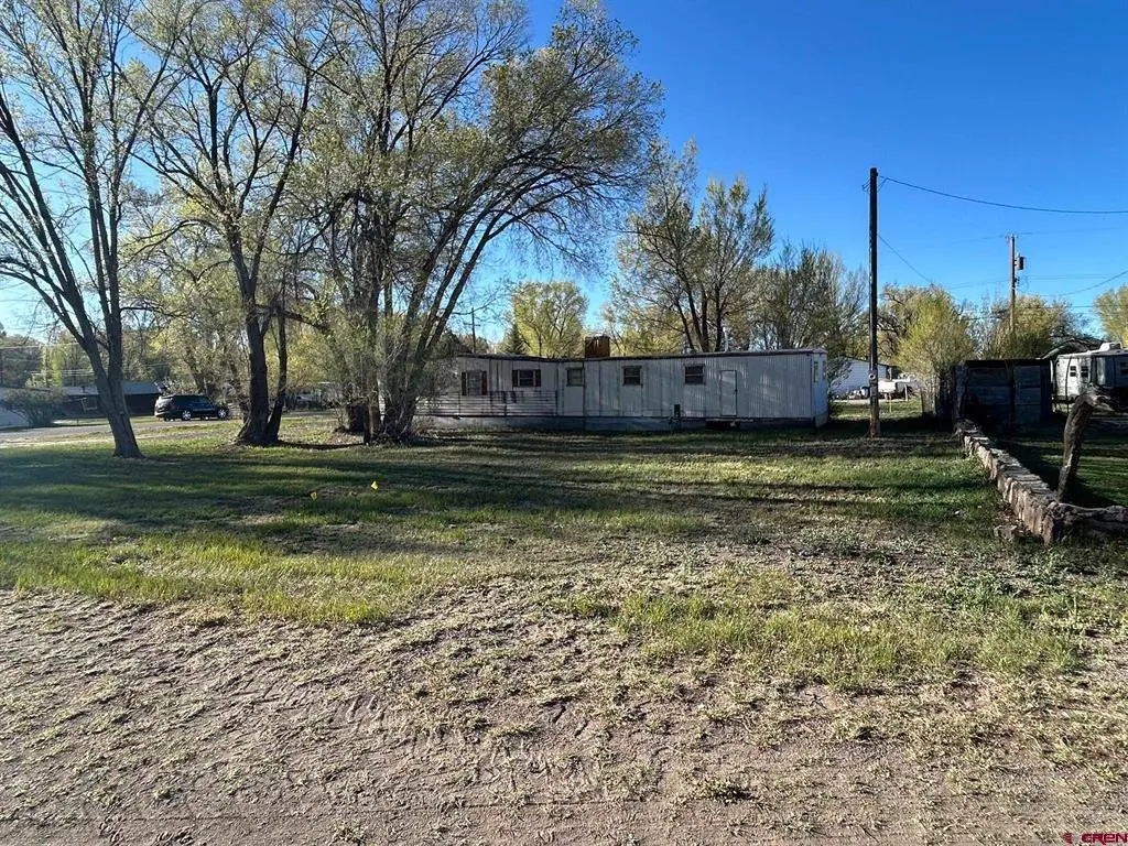 115 Denver Ave., Saguache, CO 81149 - #1