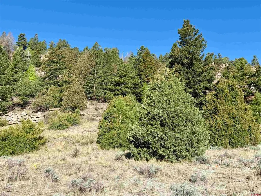 1280 Rio Grande Club Trail, South Fork, CO 81154 - #3