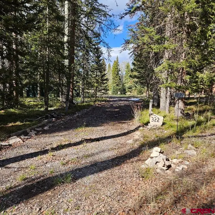 322 Spruce Road, Cimarron, CO 81220 - #1