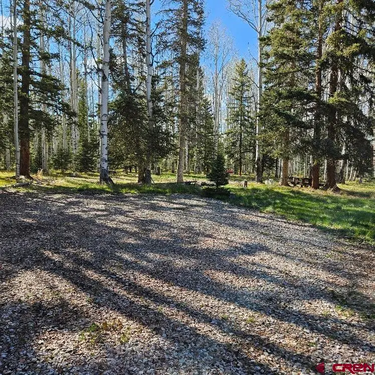 322 Spruce Road, Cimarron, CO 81220 - #3