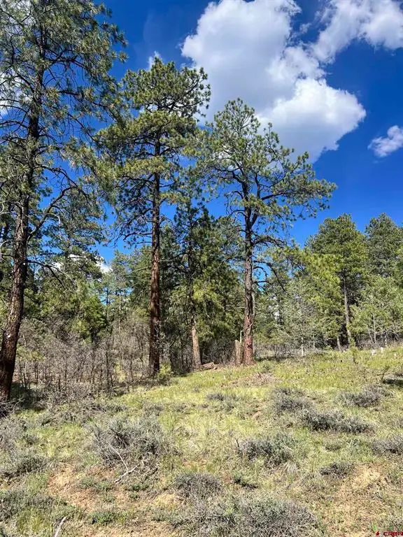 167 Justins Road, Pagosa Springs, CO 81147 - #2