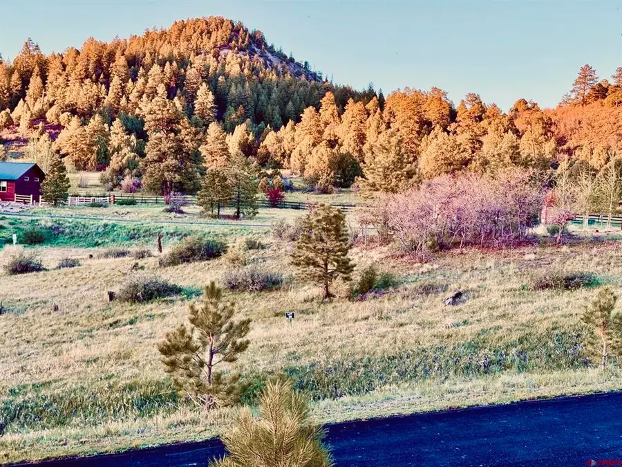 113 Incline Circle, Pagosa Springs, CO 81147 - #3