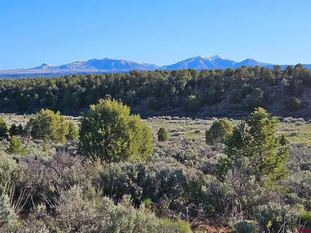 1177 County Road 119a, Hesperus, CO 81326 - #1