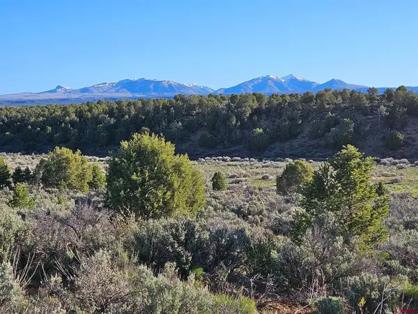 1177 County Road 119a, Hesperus, CO 81326