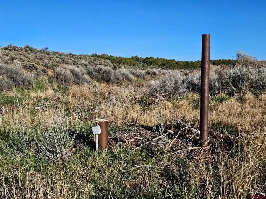 1177 County Road 119a, Hesperus, CO 81326 - #2