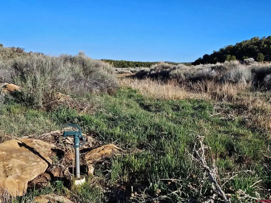 1177 County Road 119a, Hesperus, CO 81326 - #3