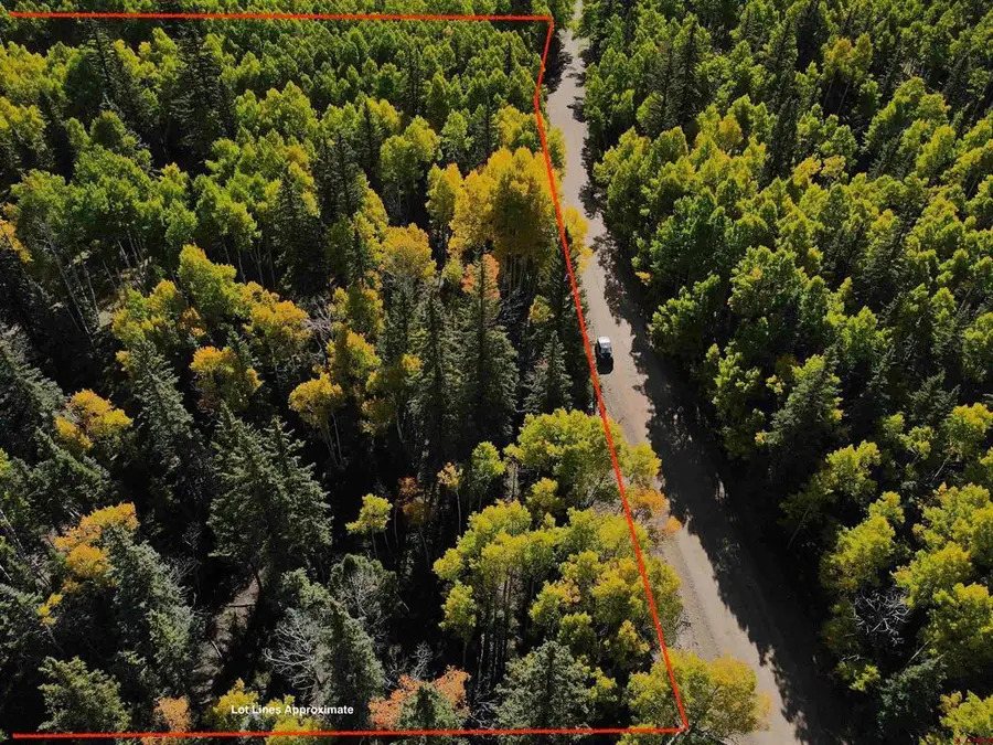 TBD Fsr 250, Jasper, CO 81132 - #2