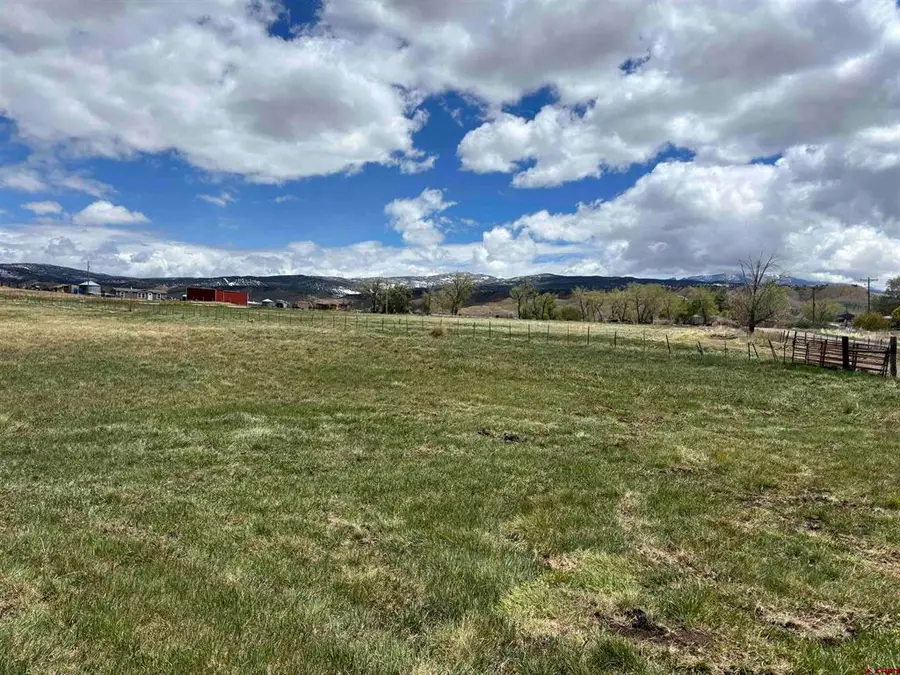 TBD Kinikin Road, Montrose, CO 81401 - #3
