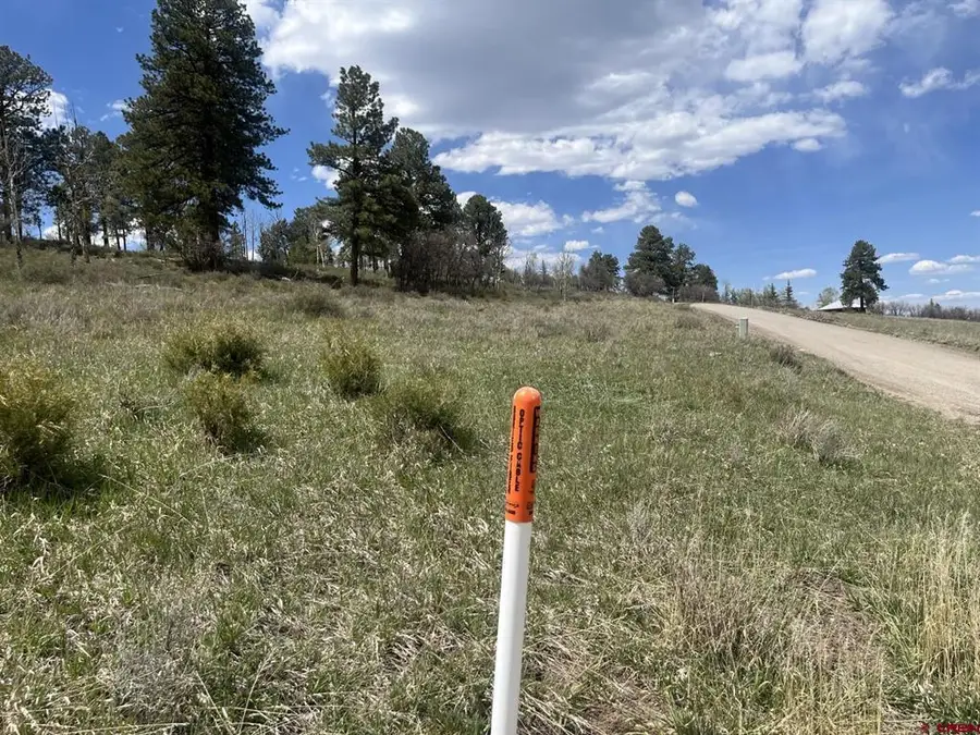 Lot A Aspen Drive, Ridgway, CO 81432 - #2