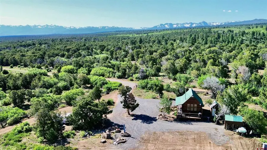 1165 Timber Ridge Road, Montrose, CO 81401 - #2