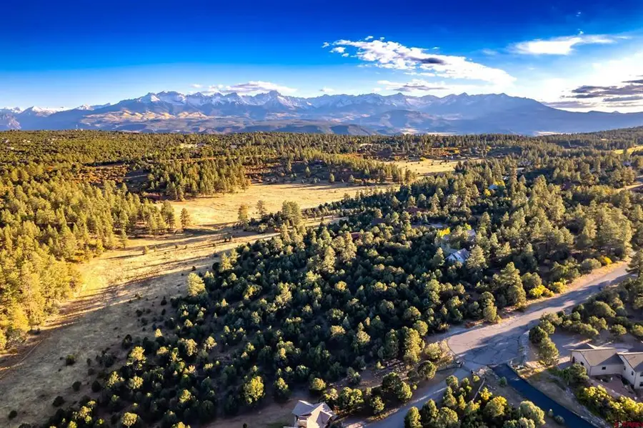 206 Woodchuck Place, Ridgway, CO 81432 - #2