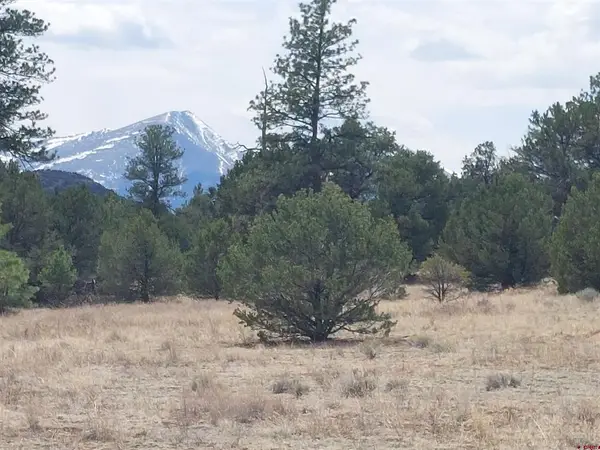 tbd Q Path And M Path, Cotopaxi, CO 81223