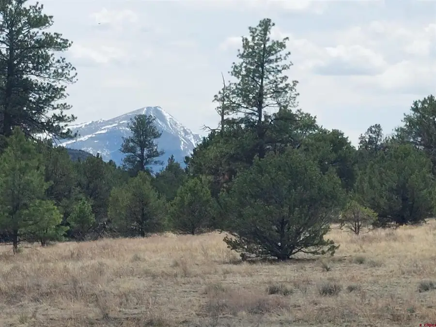 tbd Q Path And M Path, Cotopaxi, CO 81223 - #2