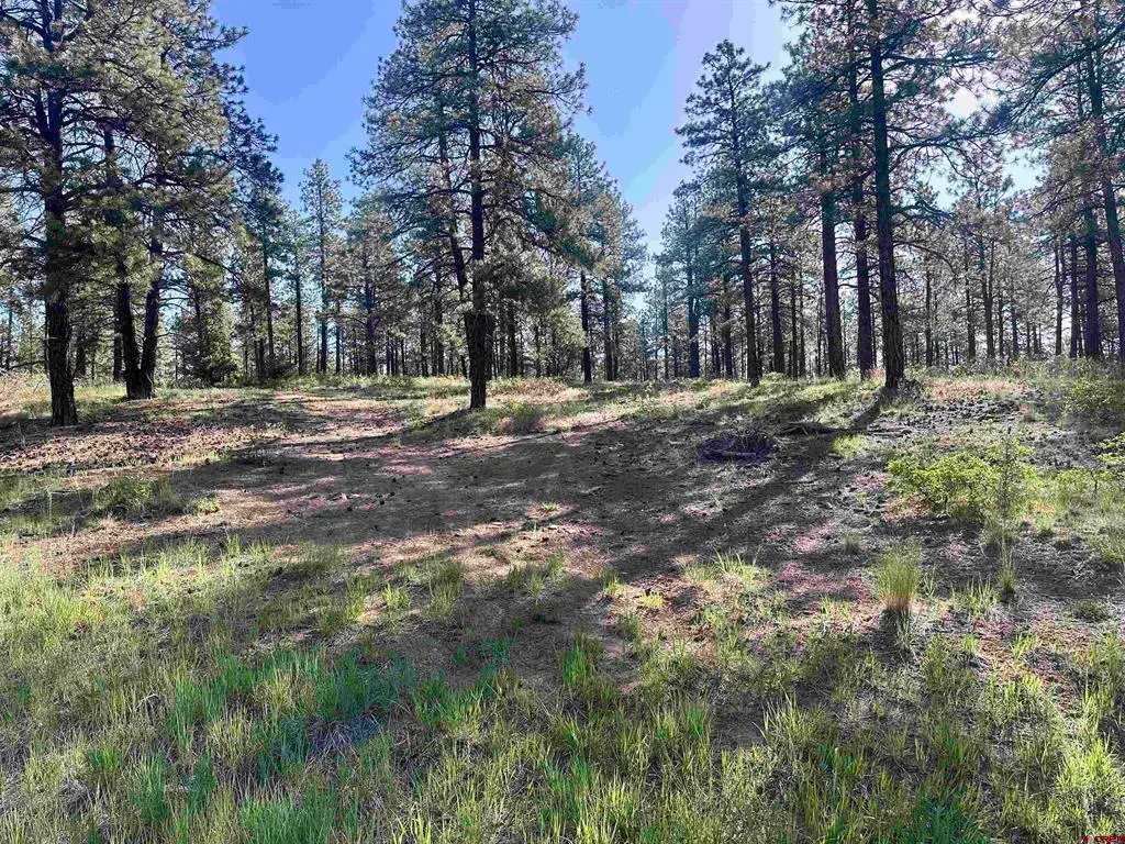 782 Hawks Meadow Drive, Bayfield, CO 81122 - #1